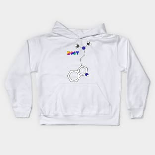 DMT Molecule Kids Hoodie